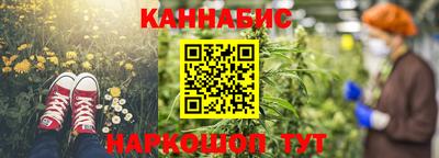 сатива Новокубанск
