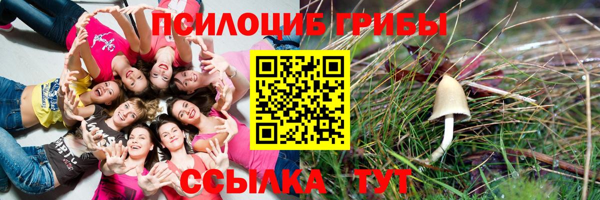 Псилоцибиновые грибы GOLDEN TEACHER Старая Купавна
