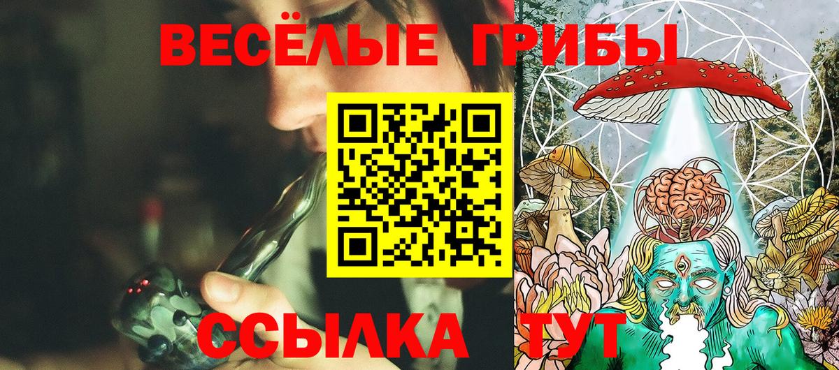 Галлюциногенные грибы прущие грибы  Вход с VPN  Старая Купавна  Галлюциногенные грибы Psilocybe 